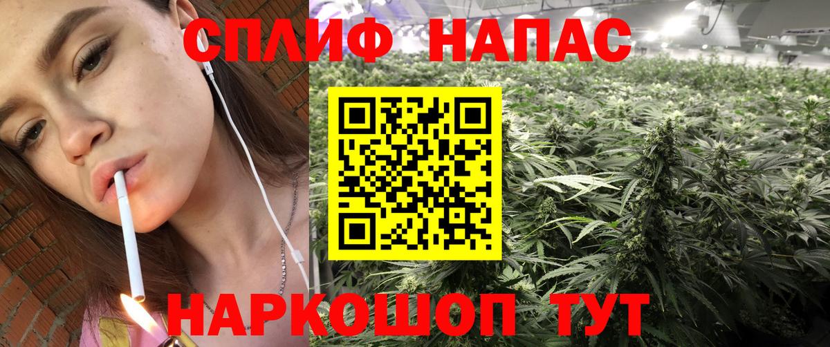 Бошки марихуана ГИДРОПОН  Конопля семена  Тулун  Конопля SATIVA & INDICA  Вход с VPN  МАРИХУАНА White Widow 